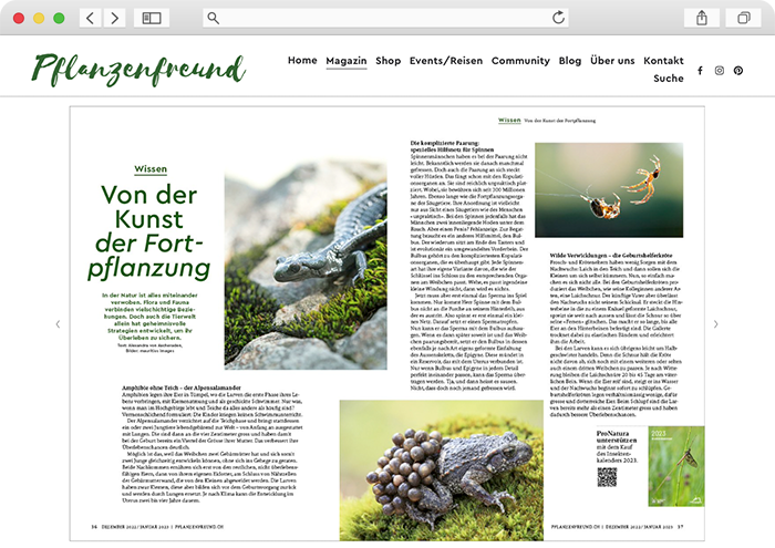 medienprodukt-website-pflanzenfreund-ch-2